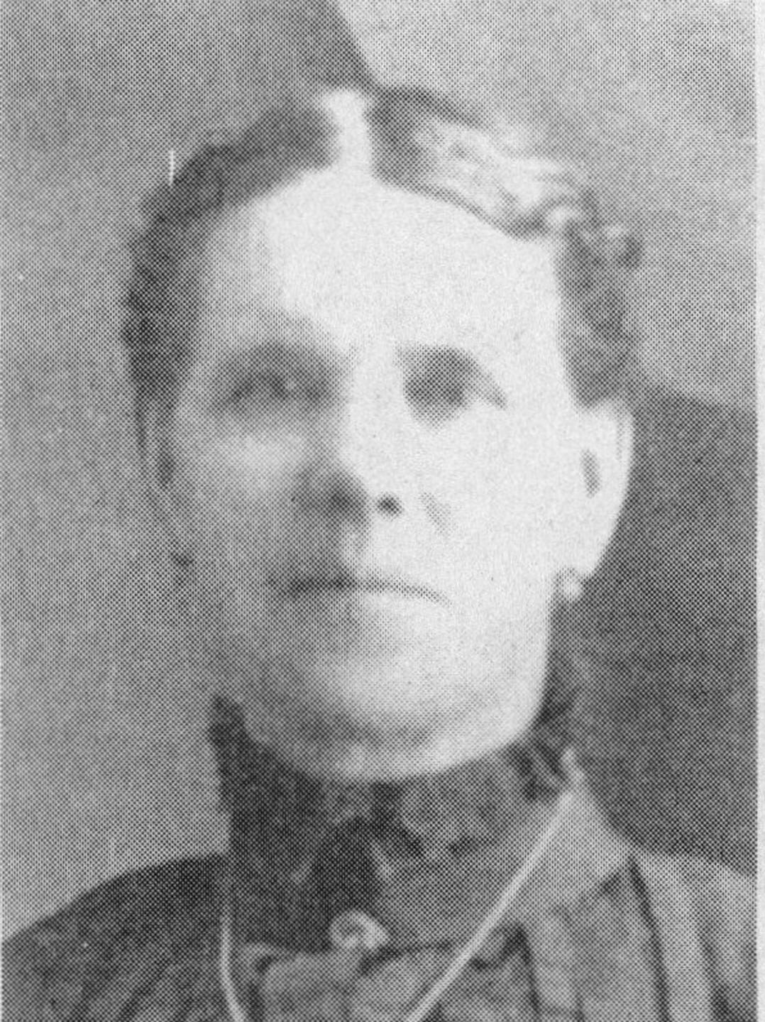 Elizabeth Cook (1849 - 1922) Profile